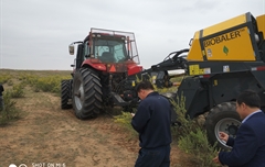 2019年，內蒙奈吉牧草有限公司，采購一臺Anderson檸條平茬機